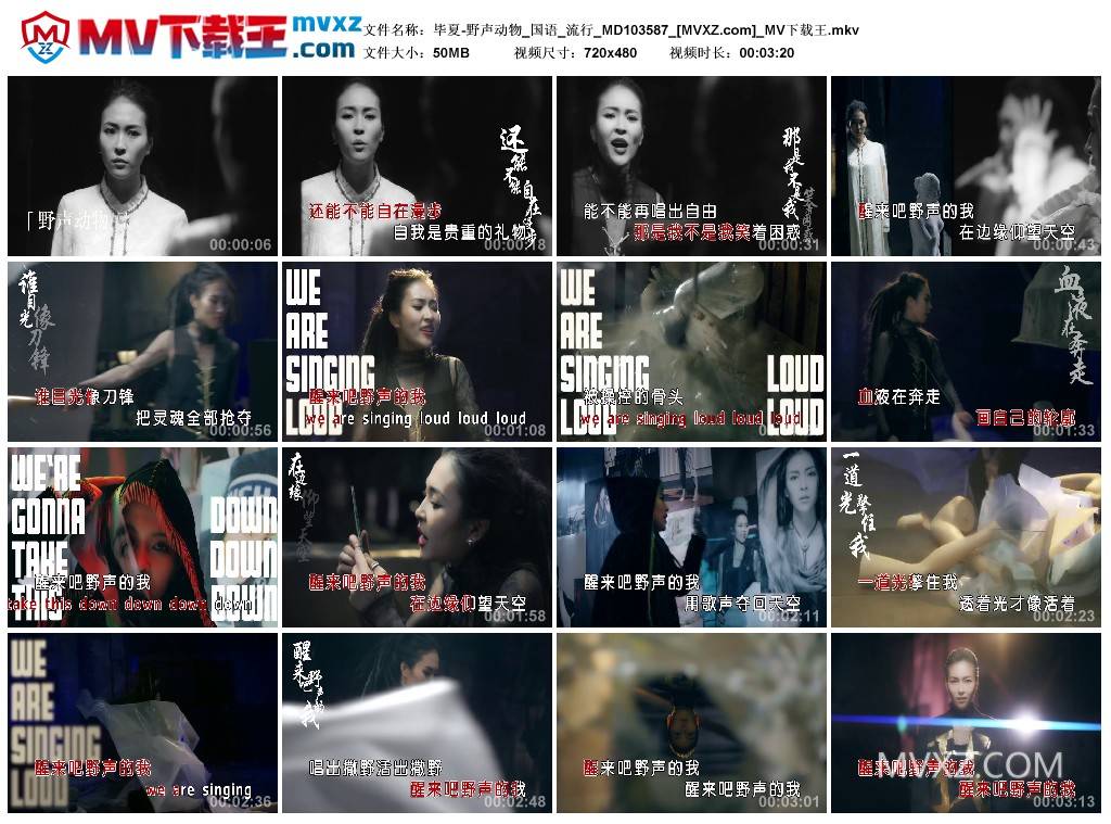 毕夏-野声动物_国语_流行_MD103587